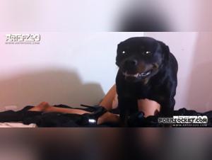 Extreme bestiality: a girl and a dog