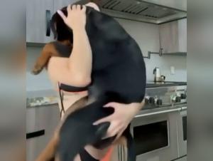 Bestiality Sex Videos with Dogs