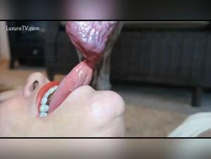 Salope sucks like a dog | Extreme Porn