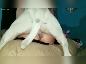 Bestiality: Young Girl and Her Four-Legged Best Friend