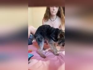wild dog sex action