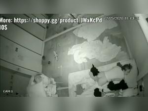 Bestiality sex video: a woman and her dog