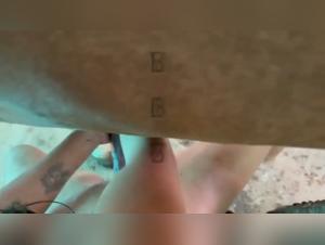 A Horse Lover's Dream: A Sexy Stallion and His Beautiful Mare