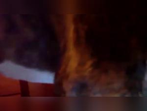 Olga and Her Adventure with a Dog - A Bestial and Extreme Experience