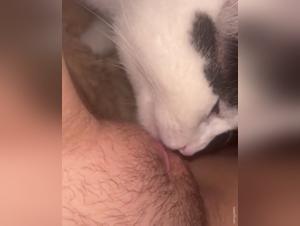 Forbidden meeting: woman and cat