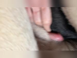 Delving into the Realm of Bestiality