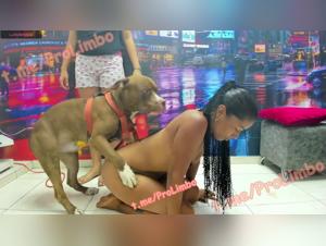 BenjiProd: Meuf Baise Chien