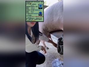 Salope sucks cock dog, sluts bestiality black pig fucking