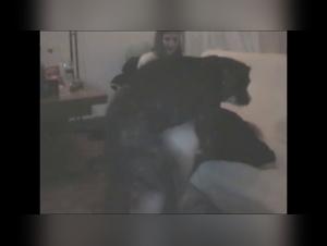 Two girls and a dog in a bestiality video