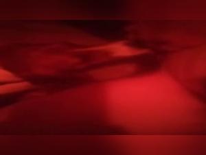 Bestiality sex video: a woman and a dog