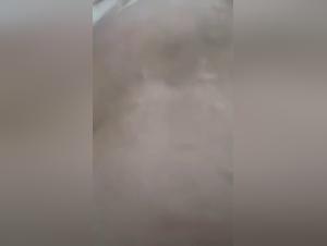 Video of Zoophilia: Woman and Dog