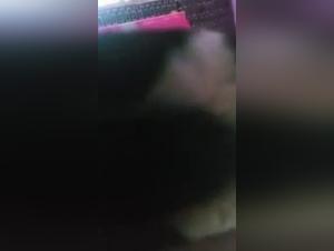 Teenage girl and dog: a beastly experience not to be missed