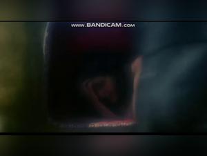 Bestiality with a horse: a hard sex video not to be missed