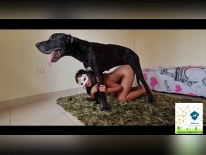 Best Videos of Dog Fucking - BestialityTube