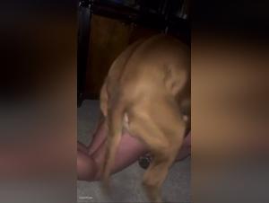 Dog Sex Video: Woman and Dog in Intense Bestiality Session