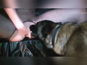 Bestiality: A Woman and Her Dog