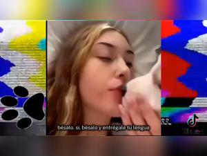 manual sexe chien guide