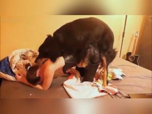 Zoophilia: A German woman and her dog