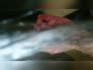 Forbidden Meeting: Woman and Horse