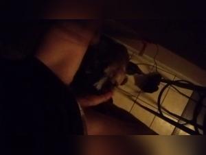 Woman and Dog - Video Bestiality Zoophilia