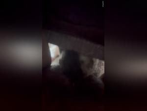 Chica Amateur Baje con Perro, Vídeo XXX