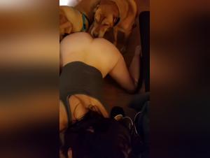 Lucky slut fucked by lucky dog