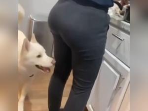 A Beastly Encounter: A Woman and Her Dog