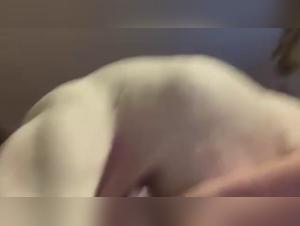 animaltube zoophilia