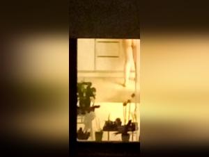 Housewife and her canine lover: A story of shocking bestiality