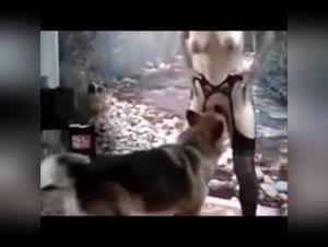 Chien Baise Meuf Hardcore