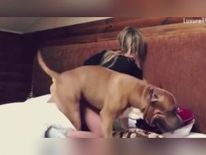 Primal Desires: Exploring Forbidden Fantasies