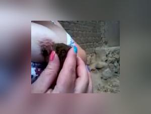 Zoophilia videos: An intense and forbidden experience