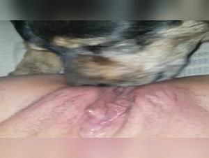 Sex videos with dogs