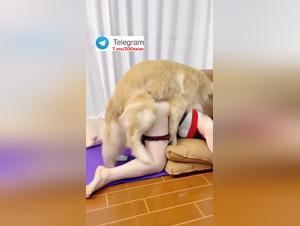 Korean Girl Dog Sex Extreme
