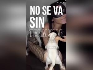 Sexo Perro Vivo PMV - Mujeres Feroz