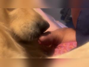 The Most Intense Bestiality Scenes to Watch Today