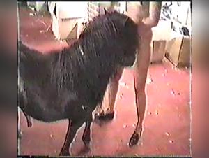 Forbidden Moments with My Friend the Horse