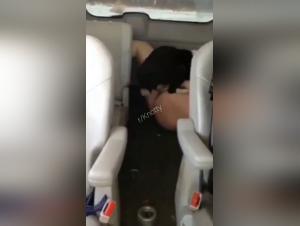 Sex with a Dog: An Amateur Wife and Her Pet