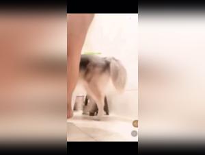 Banned video: Bestiality sex with a dog