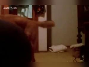 Woman and her dog: A shocking and exciting zoophilia video