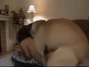 Bestiality sex video: a woman and a dog