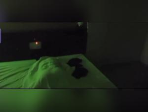 Family and animals: a forbidden love story