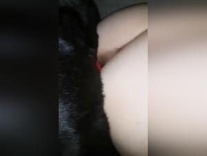 Bestiality Videos - Shocking and Arousing Scenes