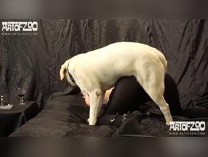 Hector Treta con Perro - Vídeo XXX