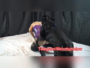 Beautiful blonde gets fucked by a dog