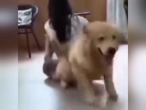 Unveiling the Dark Side of Animal Porn