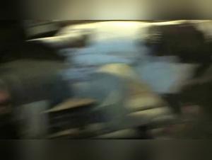 Sex with a Dog Video: An Extreme Experience