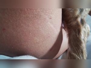 Bestial encounter: woman and dog