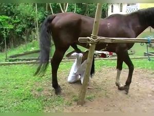 She rides and sucks a Horse