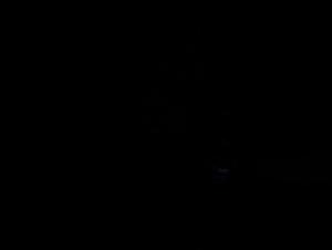 Into the Forbidden Realm: Tickzoo & Beastiality